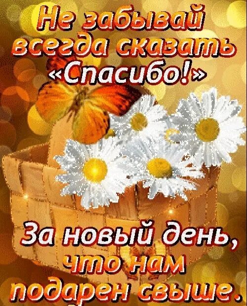 Благодарность на утро. Благодарю за новый день. Спасибо новому Дню. Благодарность за доброе утро. Спасибо Богу за новый день с добрым утром.