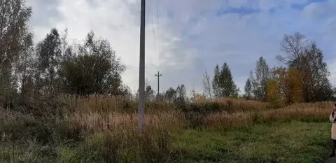 36 гектар
