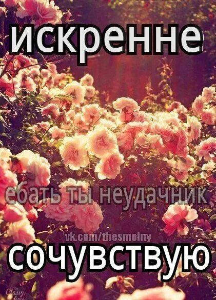 Посочувствовать как пишется