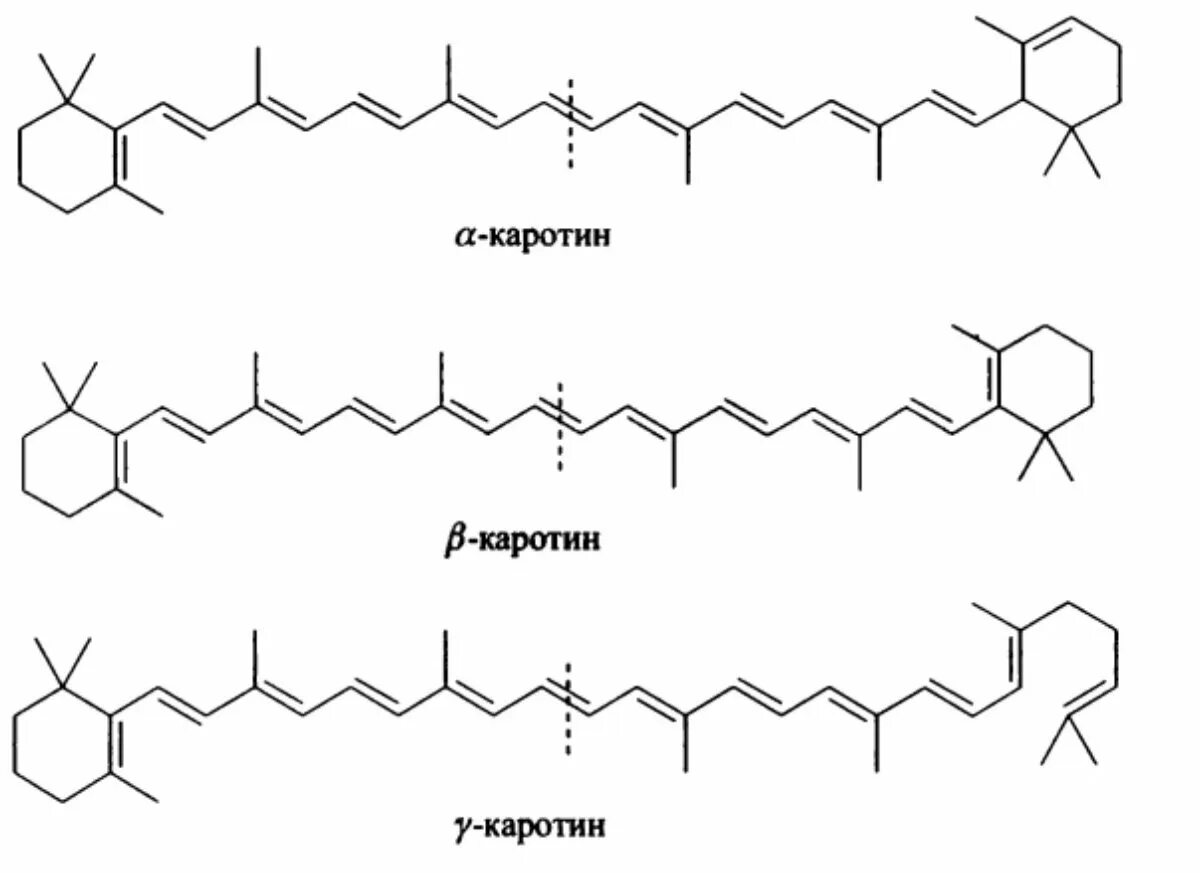 Пигмент каротиноиды. Каротиноиды химическое строение. Каротины и каротиноиды. Каротиноиды с40. Структура каротиноидов.