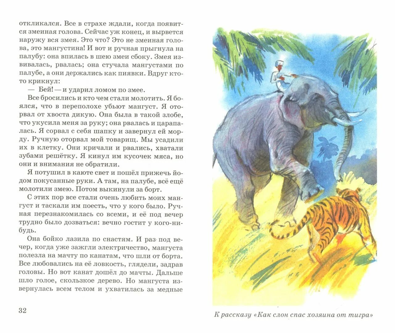 Как слон спас хозяина рисунок. Рассказа б.с. житкова «как слон спас хозяина от тигра». житков произведение слон и собачка. как слон спас хозяина от тигра рисунок.