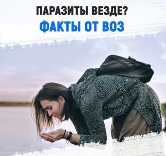 Шокирующие факты