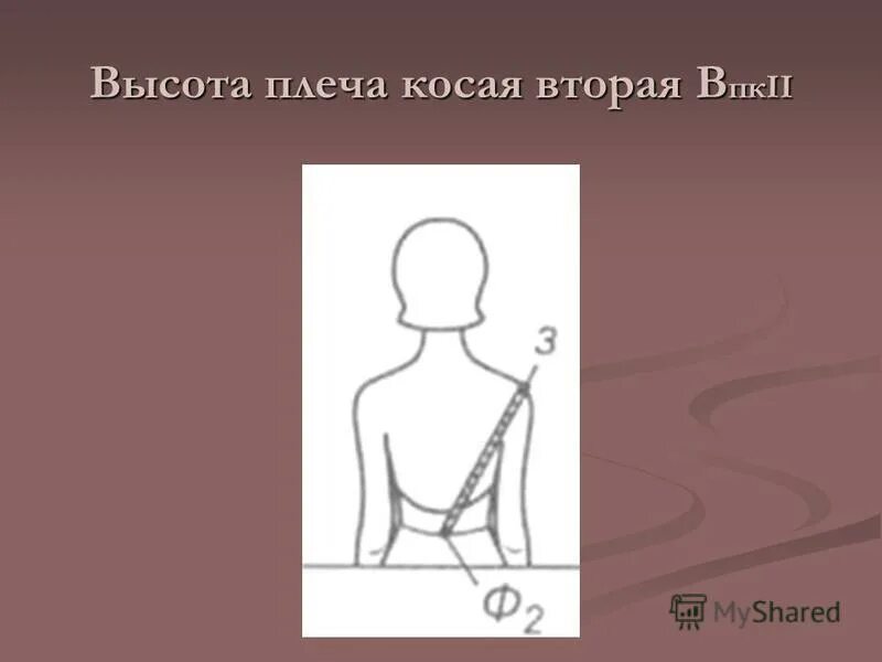 высота плеча как измерить. как измерить высоту плеча. высота плеча косая переда. мерка высота плеча косая. снятие мерок длина плеча.