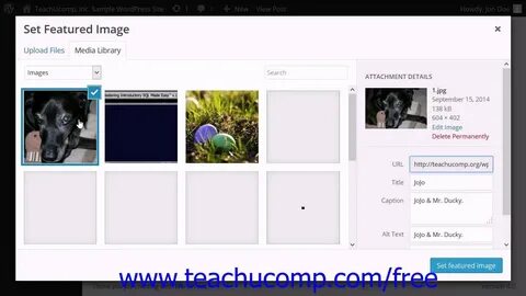 Featured image