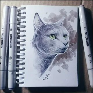 Нарисовать котика маркерами