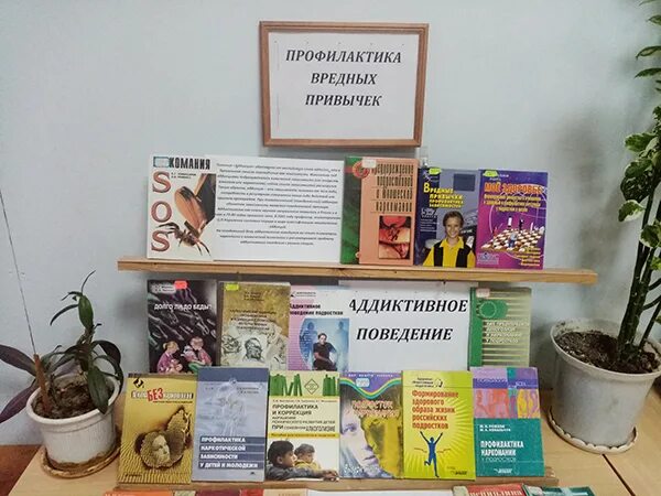 Выставка вредных привычек. Выставка вредных привычек. Выставка вредные привычки. Выставка вредных привычек. Выставка вредных привычек.