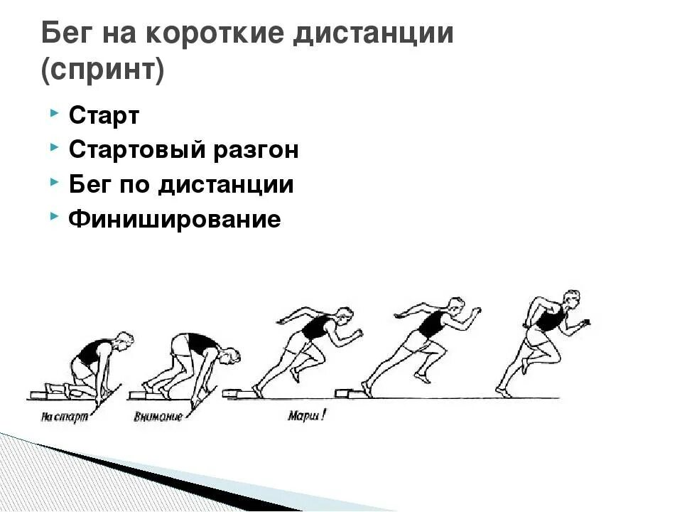 100 метров с какого старта. Техника бега на короткие дистанции старт. Техника бега на короткие дистанции фазы. Части техники бег на короткие дистанции 30 м. Бег на длинные дистанции финиширование.