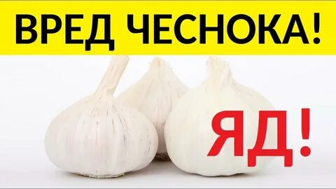 Чеснок вред для человека