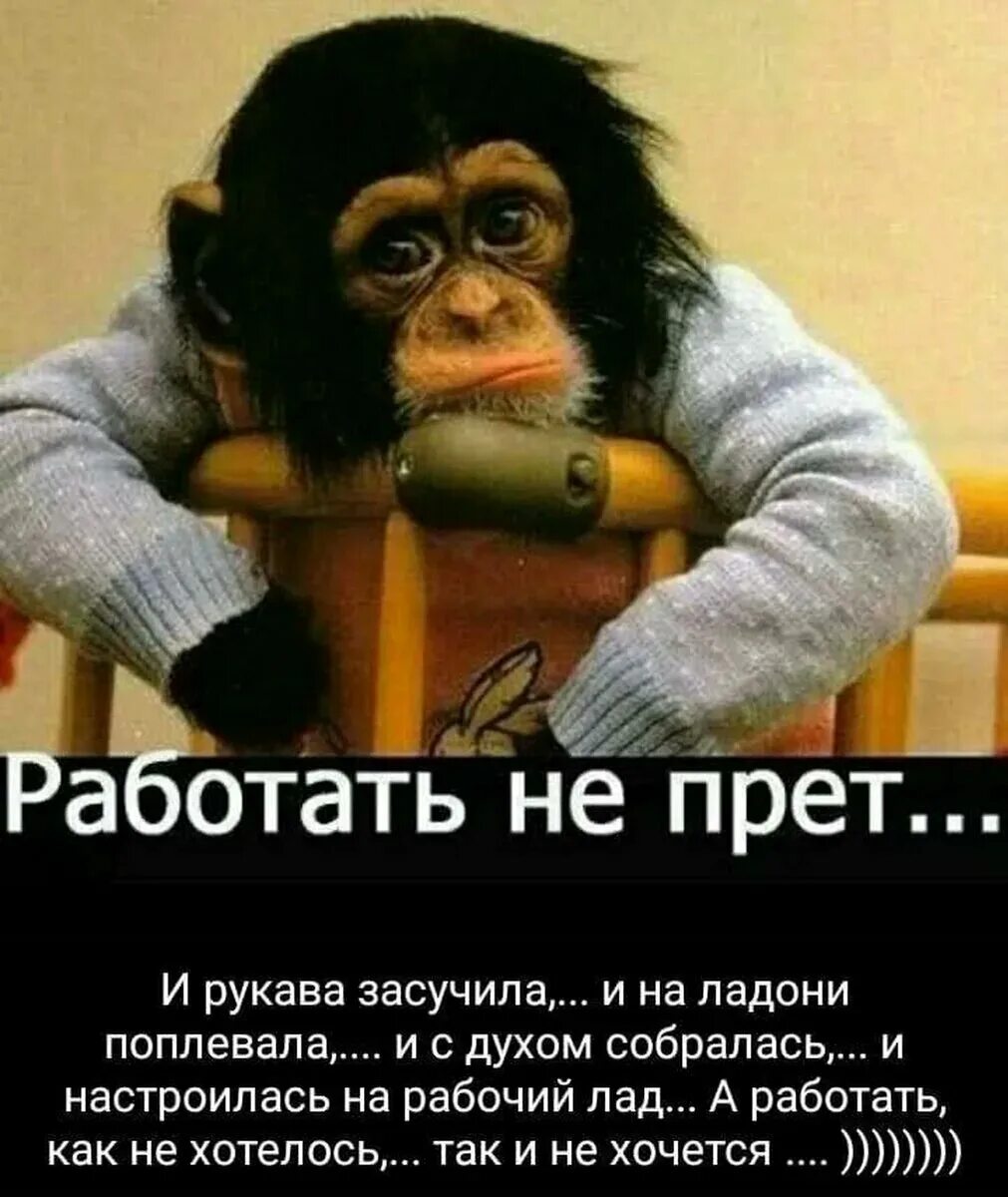 Прет ли