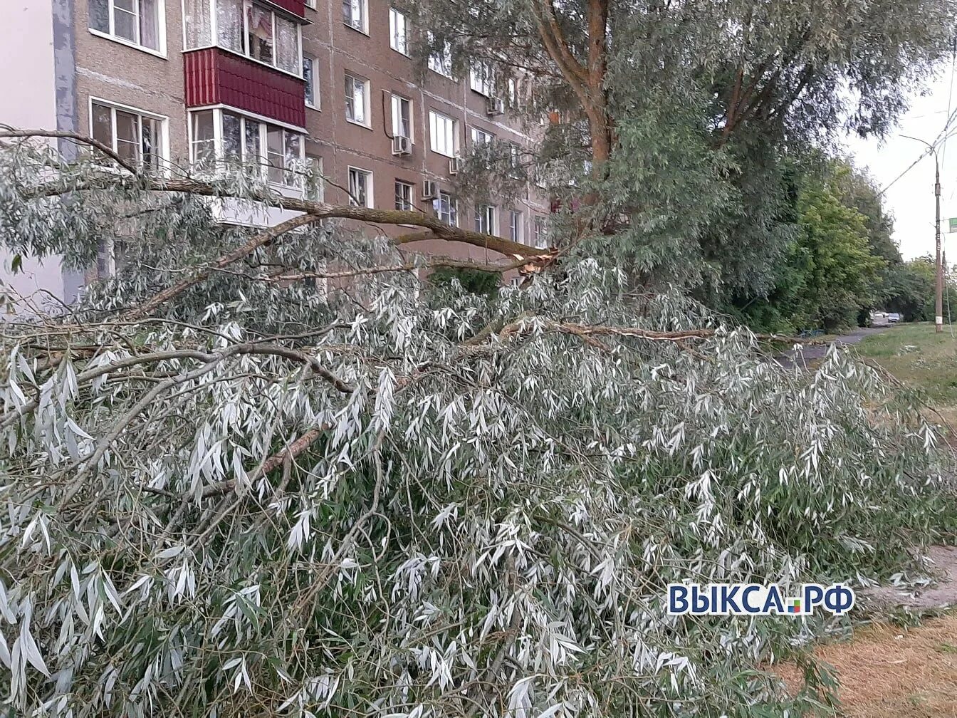 Погода в выксе по часам. Ураган в Нижегородской области. Сорск последствия урагана. Последствия урагана в ЖК ромашки. Последствия урагана в Мценске.