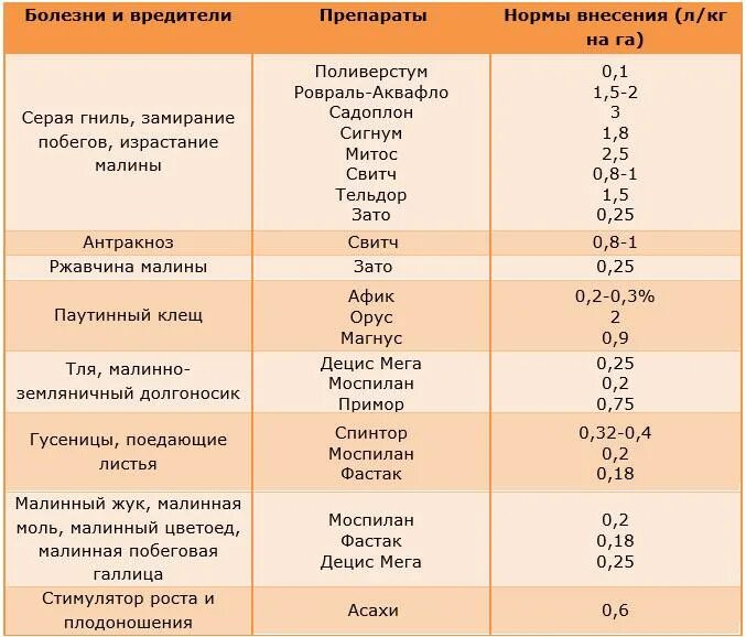 Чем опрыскать малину весной от вредителей. Схема обработки малины. препарат для обработки малины от вредителей. схема обработки малины от вредителей и болезней. обработка малины в таблице.