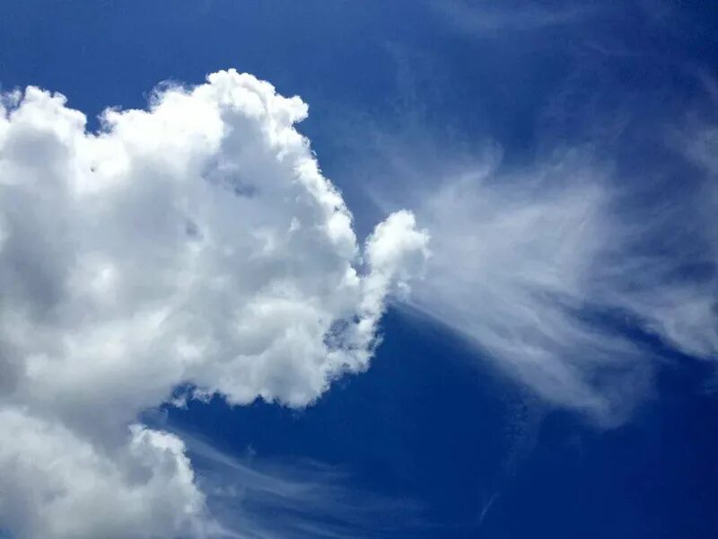 Облако беречь. Облака форма. На что похожи облака. Облака разной формы. Фигуры из облаков.