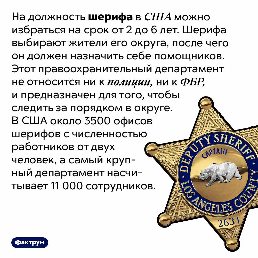 Слова новый шериф. Sheriff США. Шерифы США структура. Служба Шерифов США. Иерархия полиции США Шериф.