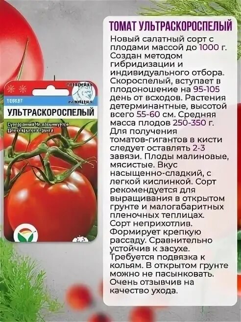 Томат ультраскороспелый плазменные семена. Ультраскороспелый сибирский сад. Ультраскороспелый сибирский сад. Томат ультраскороспелый рассада. Томат ультра скороспелый.