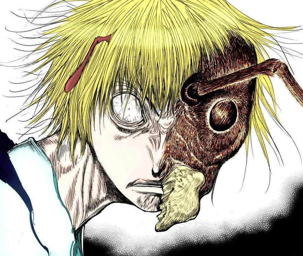 Сама хантер. Hxh увогин. хантер хантер манга курапика. курапика и увогин. увогин хантер х хантер.