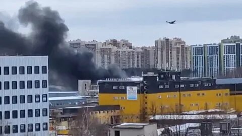 Чп приморский