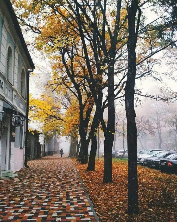 Ставрополь Stavropol Page 7 SkyscraperCity Фотографии, Обои