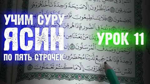 Ясин догасы