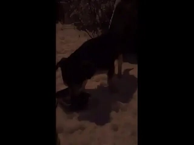 Томилино подслушано