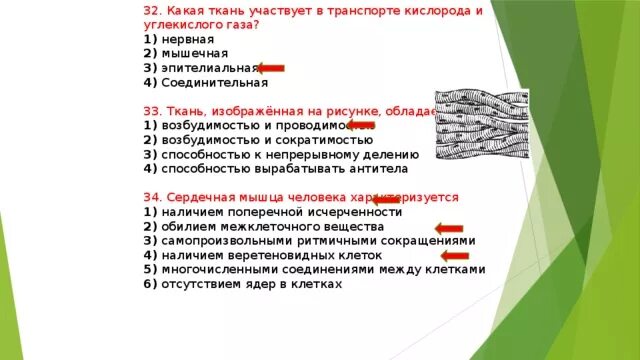 Соединительная ткань обладает возбудимостью и проводимостью. Возбудимостью и проводимостью обладает ткань. Какая ткань обладает возбудимостью и сократимостью. Соединительная ткань обладает возбудимостью.