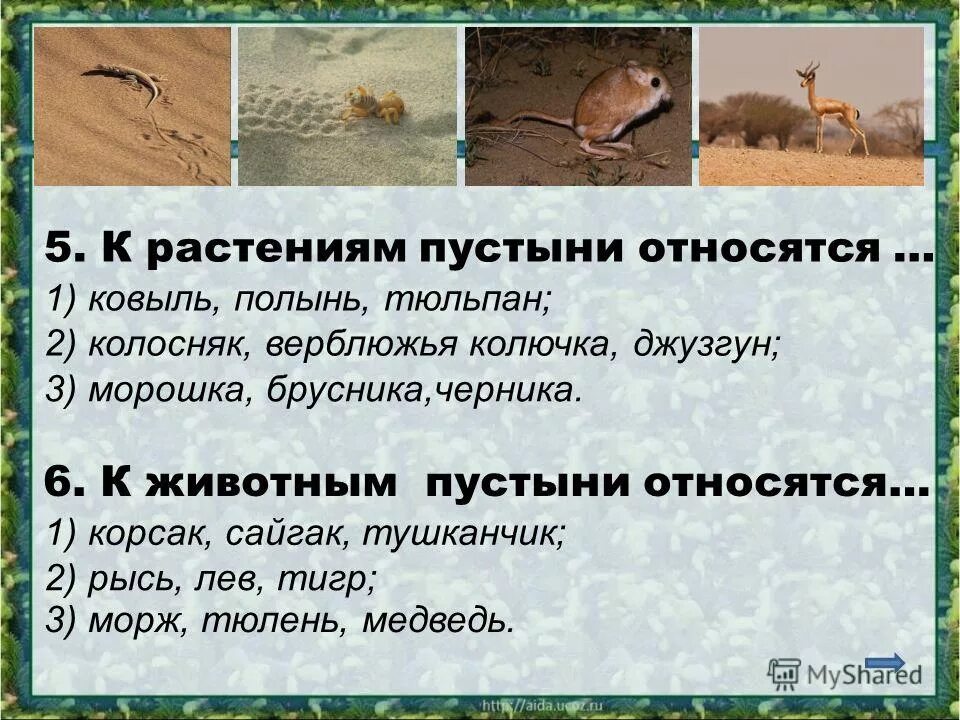 Степи и пустыни 4 класс тест. Природные зоны России пустыни обитатели. Зона пустынь животные и растения. Животные степи и пустыни. Природная зона пустыни растения и животные.