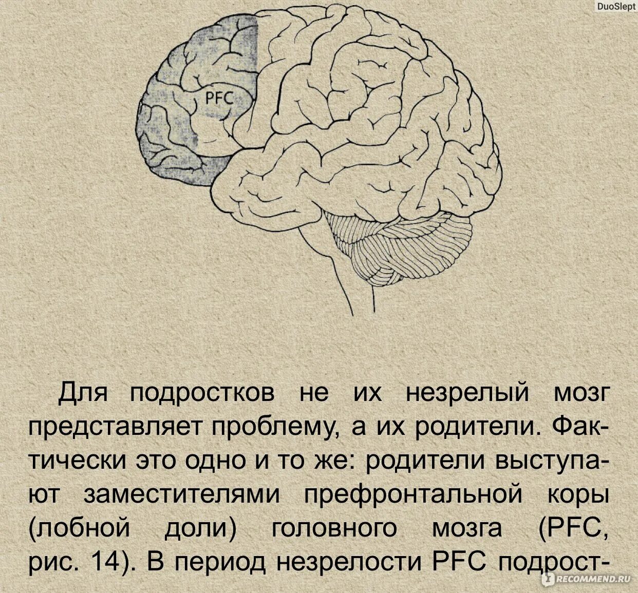 Тест альцгеймера сколько лиц на картинке. Тест на Альцгеймера. Тесты на болезнь Альцгеймера в картинках. Задачи Альцгеймера с ответами.