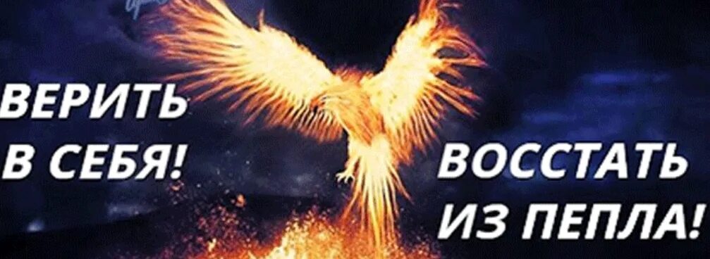 Возродится. Огненный сокол рарог. Возродиться заново. Soweti pro lybow. Звезды из пепла.