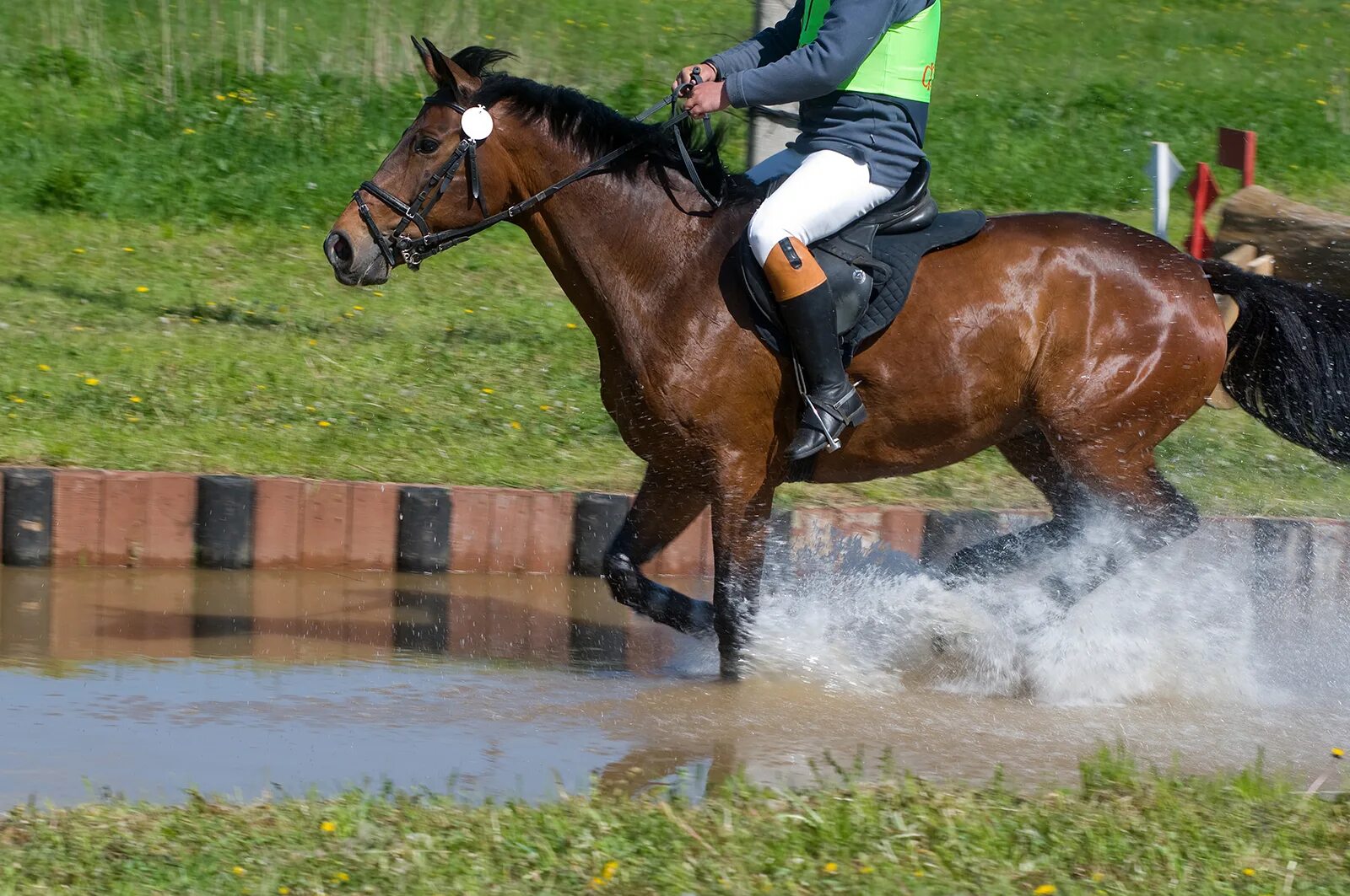 Троеборье конный спорт. Конное троеборье кросс угол. Cross Country Horse. 3 day eventing