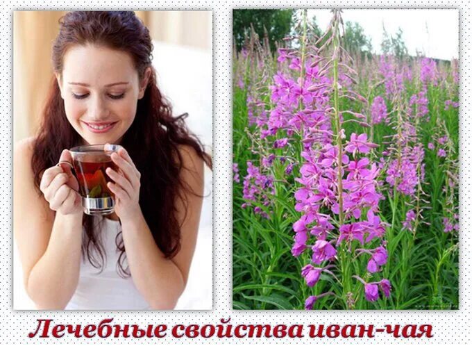 Правительство Тверской области
