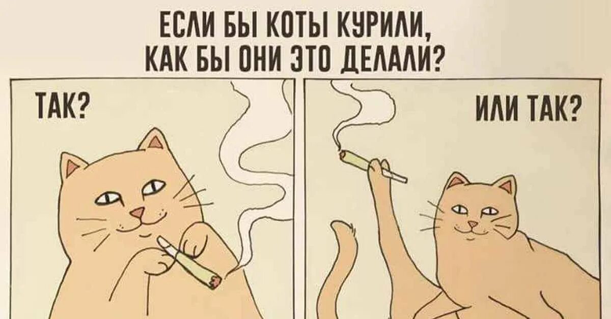 Курящий кот картинка. Курящий кот. кот курит мем. курящая кошка мем. кот с сигаретой и ключом.