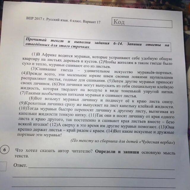 Текст впр как хорошо летом в лесу. Определите и запишите основную мысль текста. Основная мысль текста задания. Что такое основная мысль текста 4 класс. Определи тему текста.