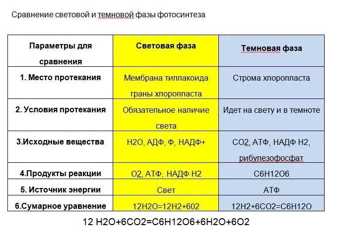 Таблица критерии сравнения световая фаза темновая фаза. Параметры световой фазы фотосинтеза. Световая и темновая фаза таблица. Таблица параметры и световая фаза фотосинтеза.