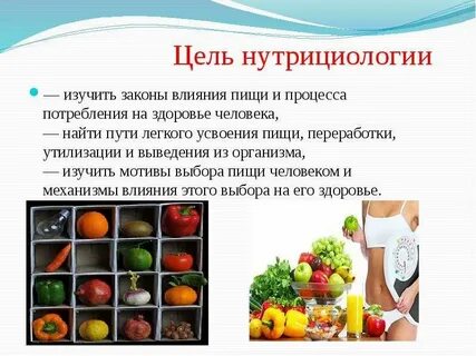 Нутрициолог это простыми словами чем занимается кратко