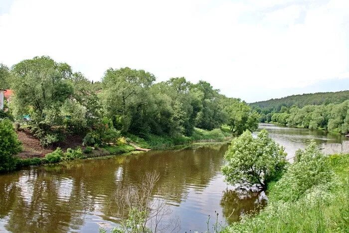 Подольск пахра река пахра. Пахра работа. Пахра работа. Пахра парк троицк. Река пахра в московской области.