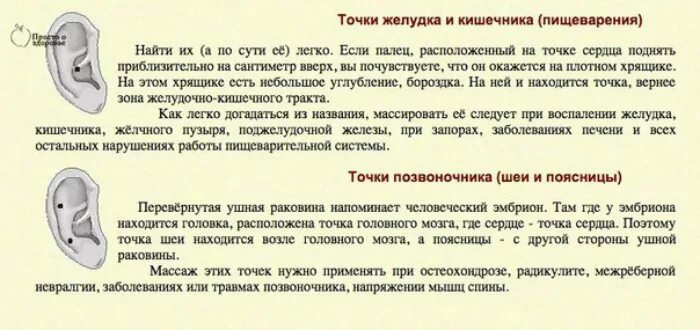 Укол точка голода отзывы. Активные точки на ушах для снижения веса. Точки на ушной раковине для похудения. Акупунктурные точки на ухе для похудения. Точки на ушной раковине для снижения веса.