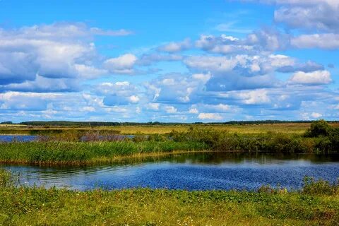 Канаши шадринский курганская область