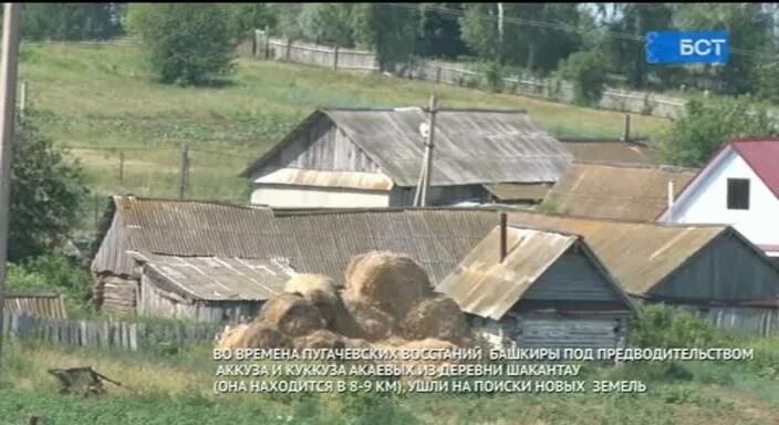 Изображение не требует описания