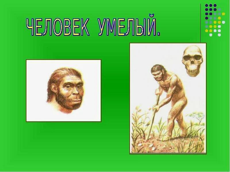 Гоминиды представители