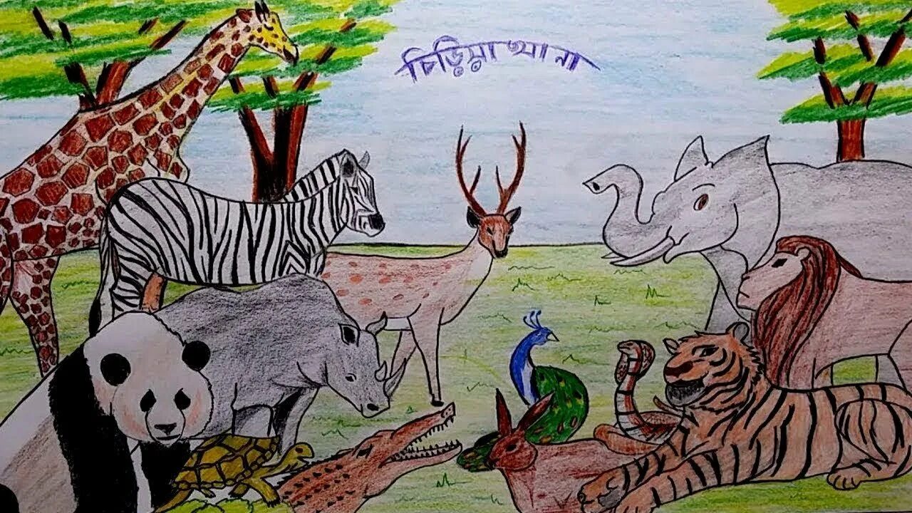 Здесь можно выполнить рисунок показывающий удивительную. Рисунок на тему животные. Рисунок на тему зоопарк. Рисование на тему зоопарк. Животные в зоопарке рисунки.