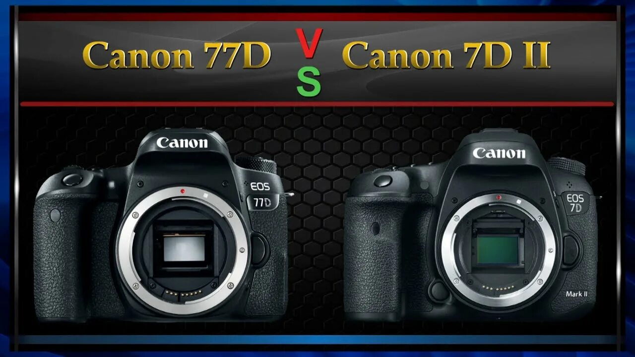 Canon eos 5d mark ii kit. Canon 5d mark ii. Объектив на белом фоне. Canon eos 80d body. Марк 2 canon 5d.