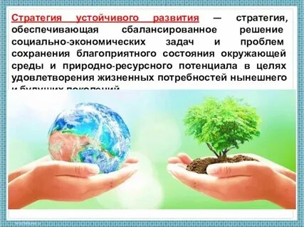 География 10 класс стратегия устойчивого развития оопт