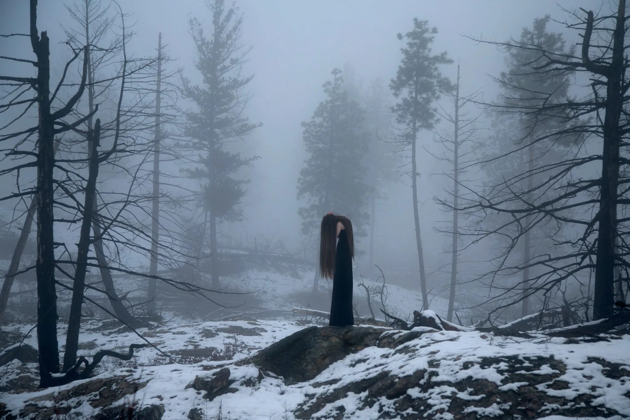 Полна тайн хмурая тишина зимнего. Лес Триллемарка-Роллагсфьелл. Девушка в тумане. Мрачная зима. Депрессивная зима.