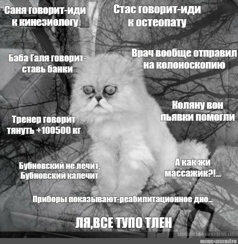 Мем девушка вашей маме зять не нужен. Кот говорит иди. Кот в снегу юмор. Весна кот снег приколы. Ниче себе.