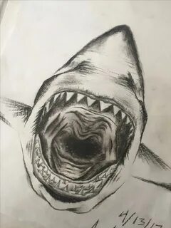 Акула карандашом