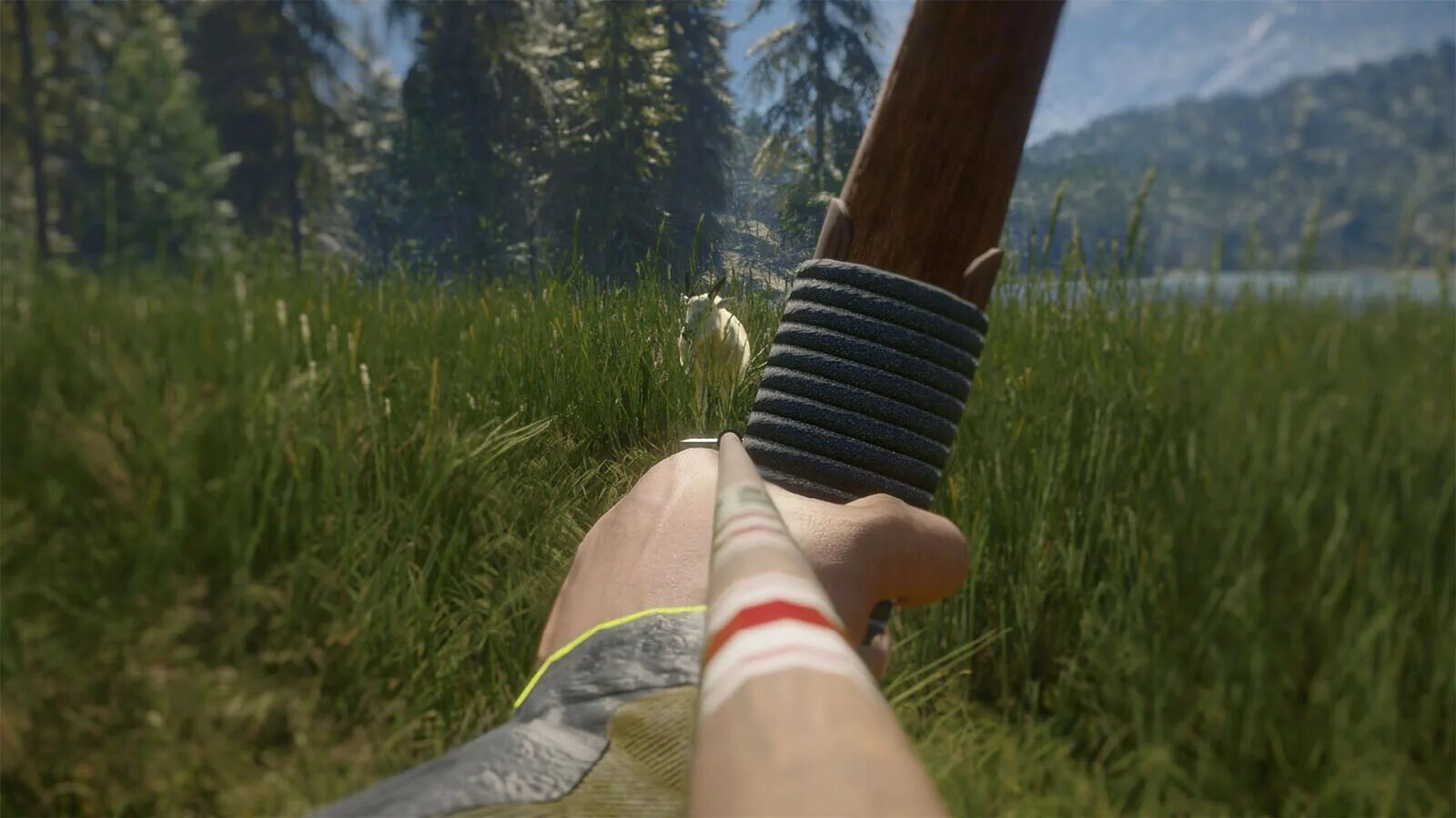 Call of the wild freetp. Игра the hunter call of the wild. игра охота the hunter call of the wild. the hunter call of the wild геймплей. серебряные вершины the hunter call wild.