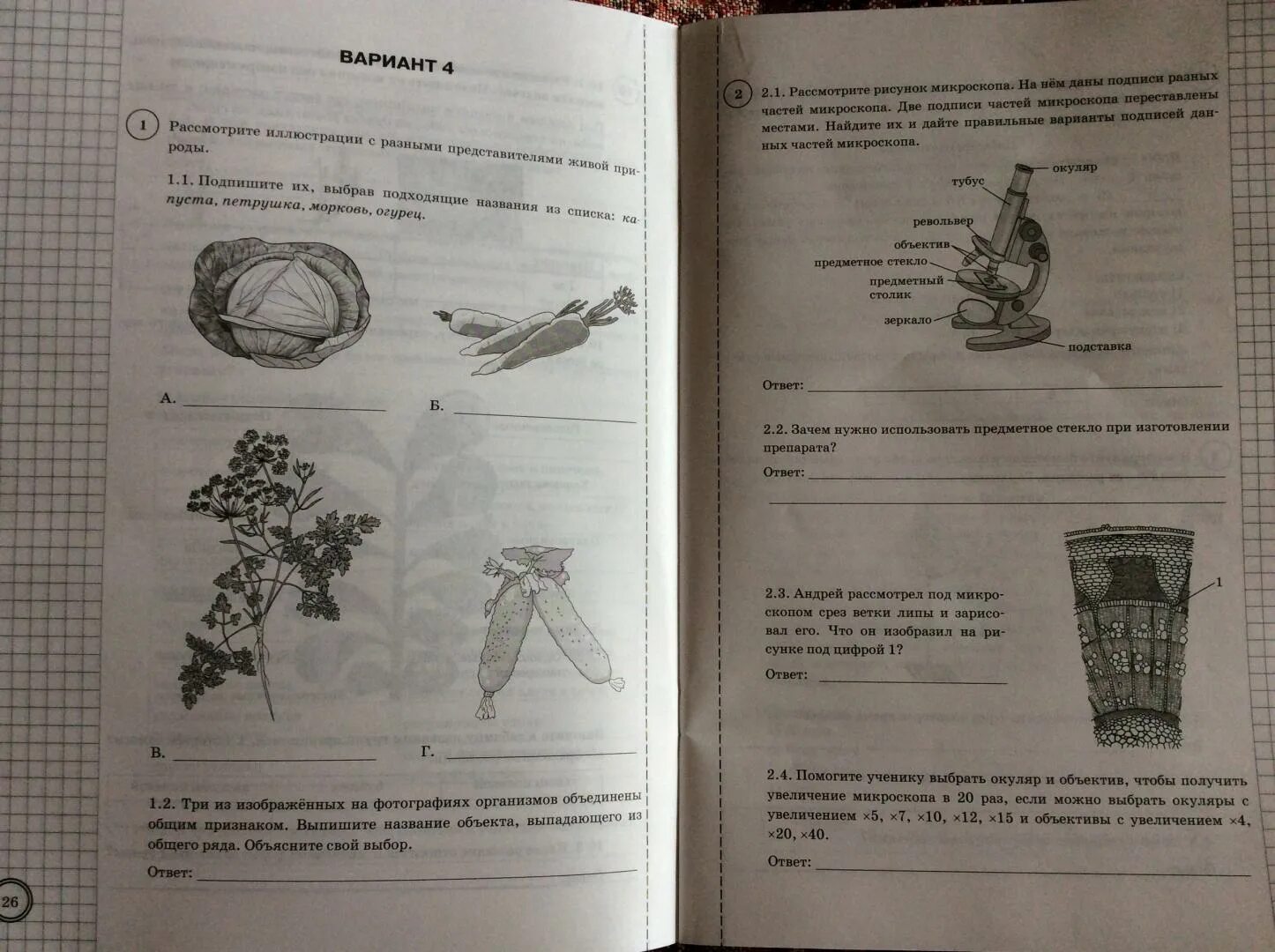 Впр по однкнр 5. ВПР по биологии 5 классы с ответами. ВПР по биологии ответы. ВПР по биологии 5-6 класс. ВПР по биологии 5 класс Банникова Касаткина шариков.