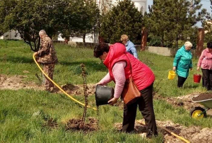 Что случилось с вишневым садом. Вишневый сад Кемерово. Анапа сквер памяти о зимней вишни. ТОС вишневый сад Красногорск. В Анапе высадили деревья возле храма.