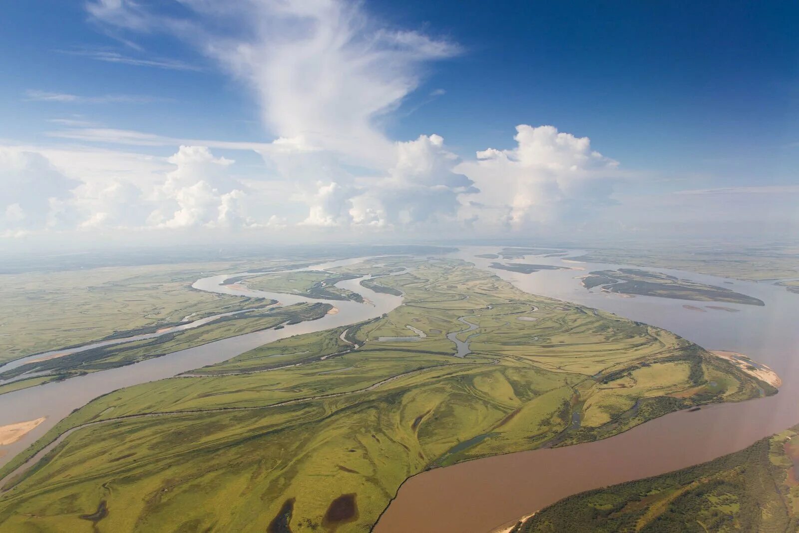 Река Амур. Пойма реки Амур. Дальний Восток река Амур. What is the longest river in russia