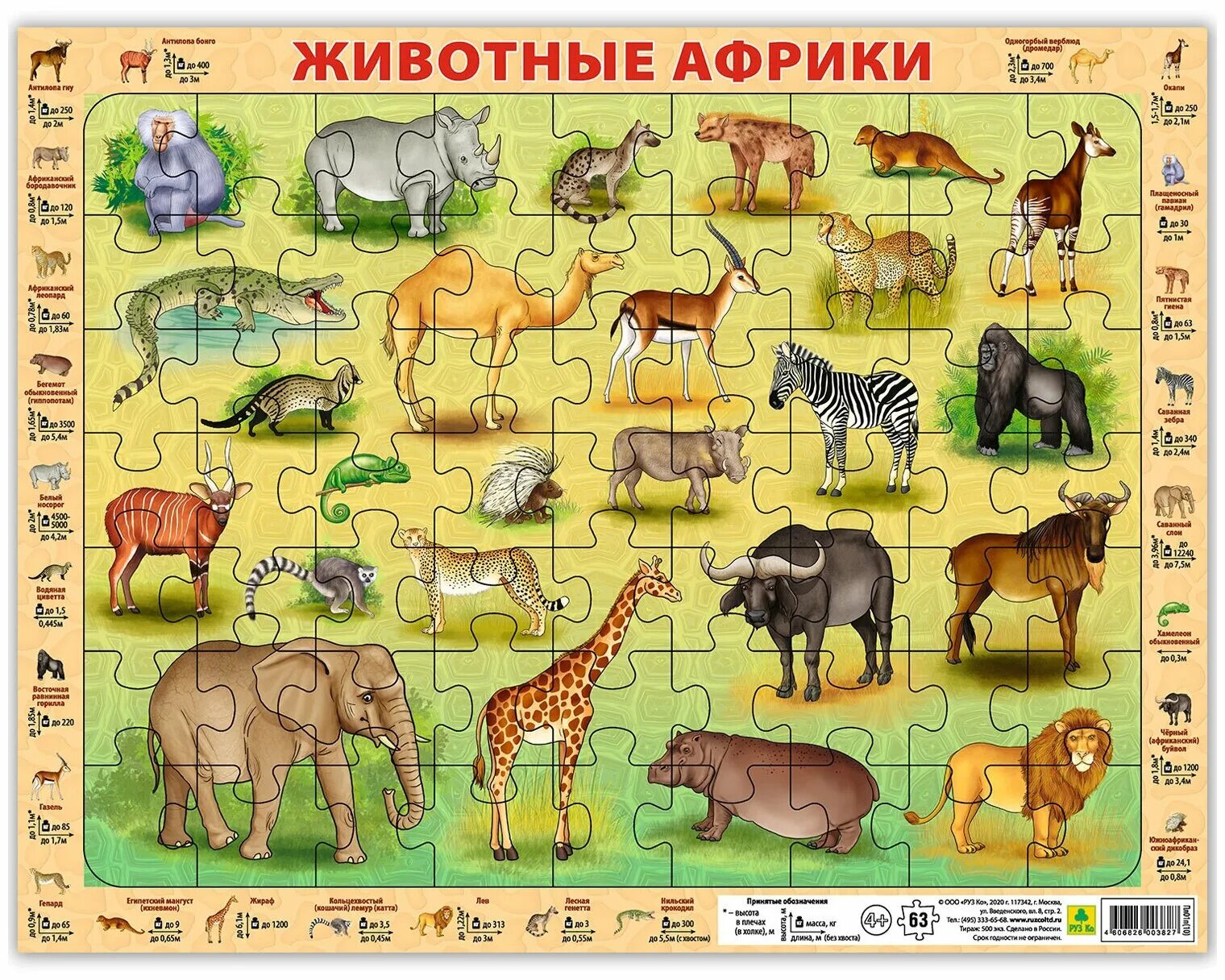 Животные саванны для детей. Перечислить животных африки. Дикие животные африки. Животные африки карточки для детей. Животные обитающие в африке.