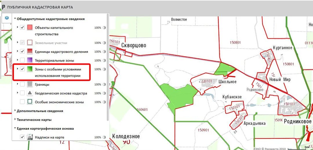 Кадастровая карта особые зоны. План публичной кадастровой карты. Территориальные зоны на публичной кадастровой карте. Кадастровая карта зоны. Публичная кадастровая карта с особыми зонами.